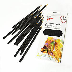 A set of 12 Watercolor Pencils